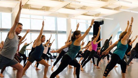 LIVE TEACHER TRAINING LEVEL 2: Amsterdam | 19 & 20 September, 2025